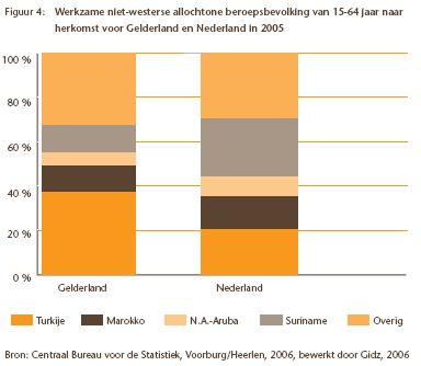 werkzame niet-westerse allochtonen
